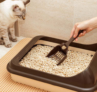 Traditional Litter Boxes vs. Self-Cleaning Litter Boxes: Which is Right for Your Cat?