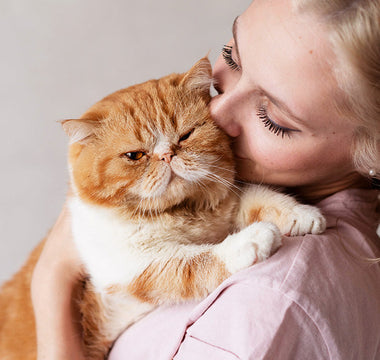 Understanding Cat Behavior: Tips for a Harmonious Home