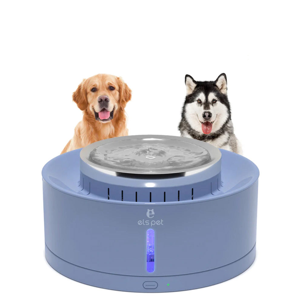 Fontaine d'eau automatique pour chien de 270 oz/8 L