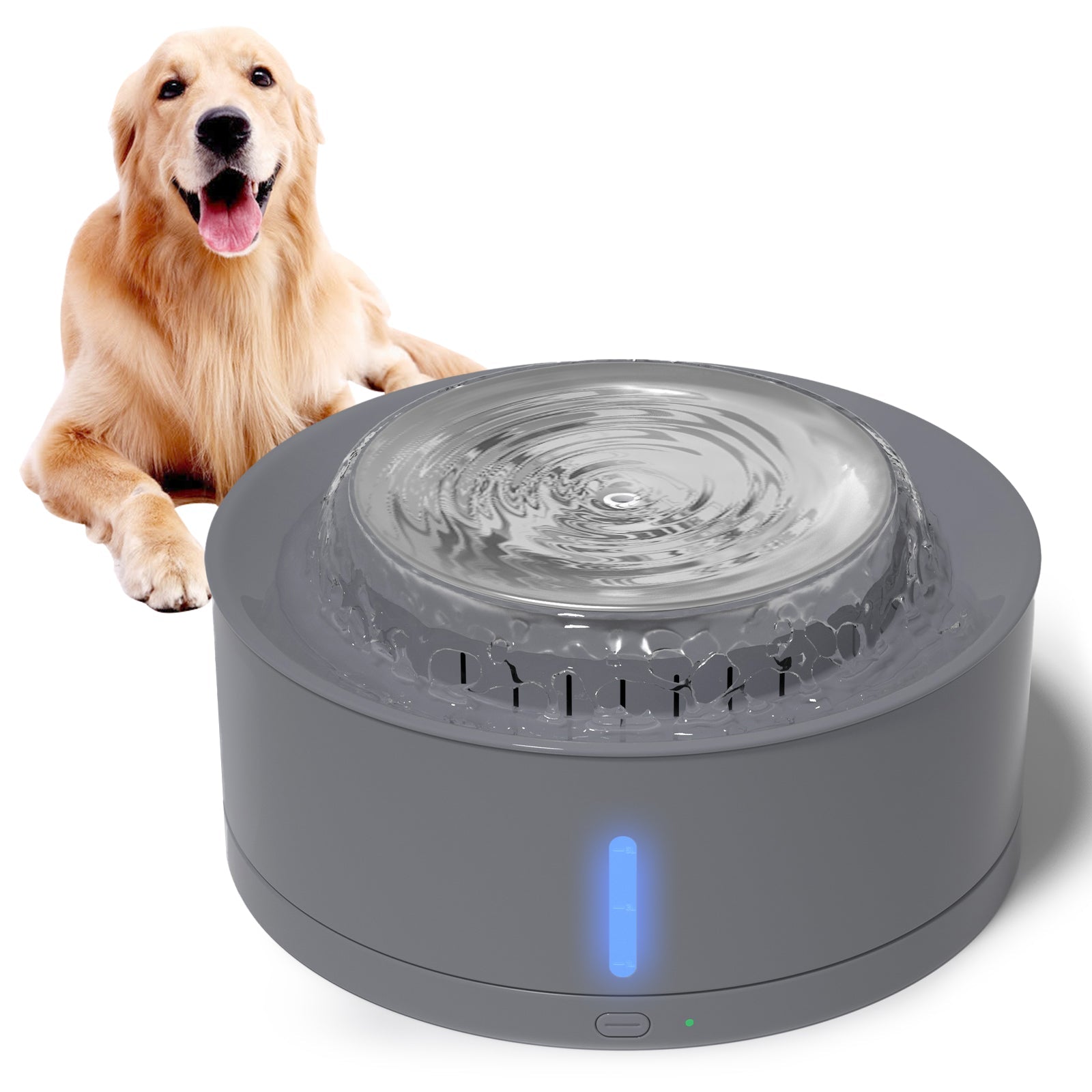 Fontaine d'eau automatique pour chien de 270 oz/8 L