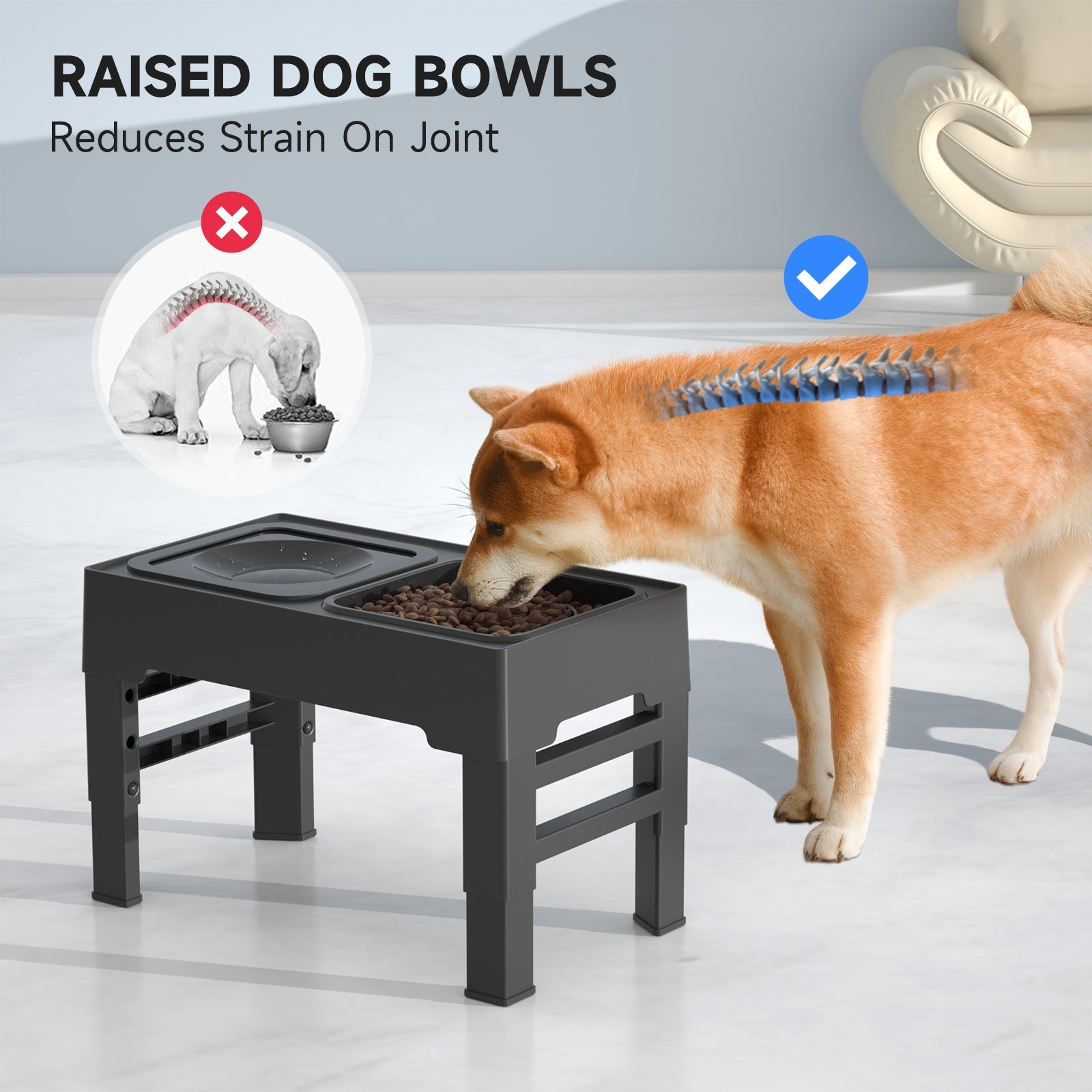 2-in-1 Elevated Raised Dog Bowl